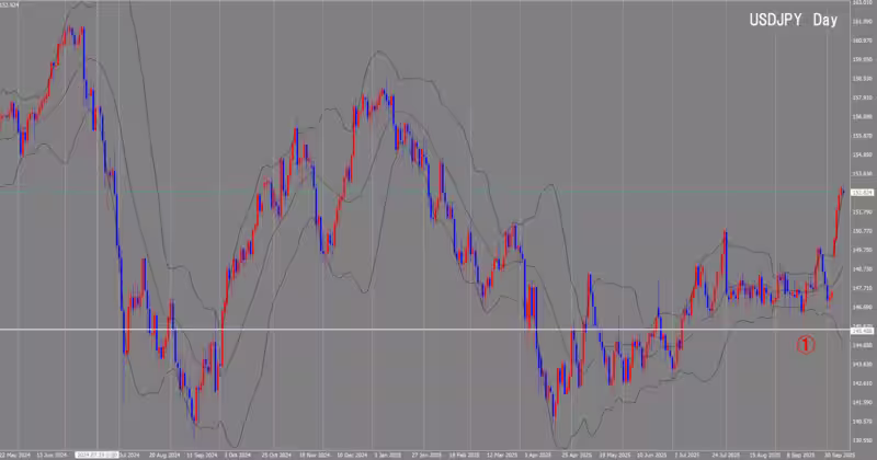 الرسم البياني اليومي